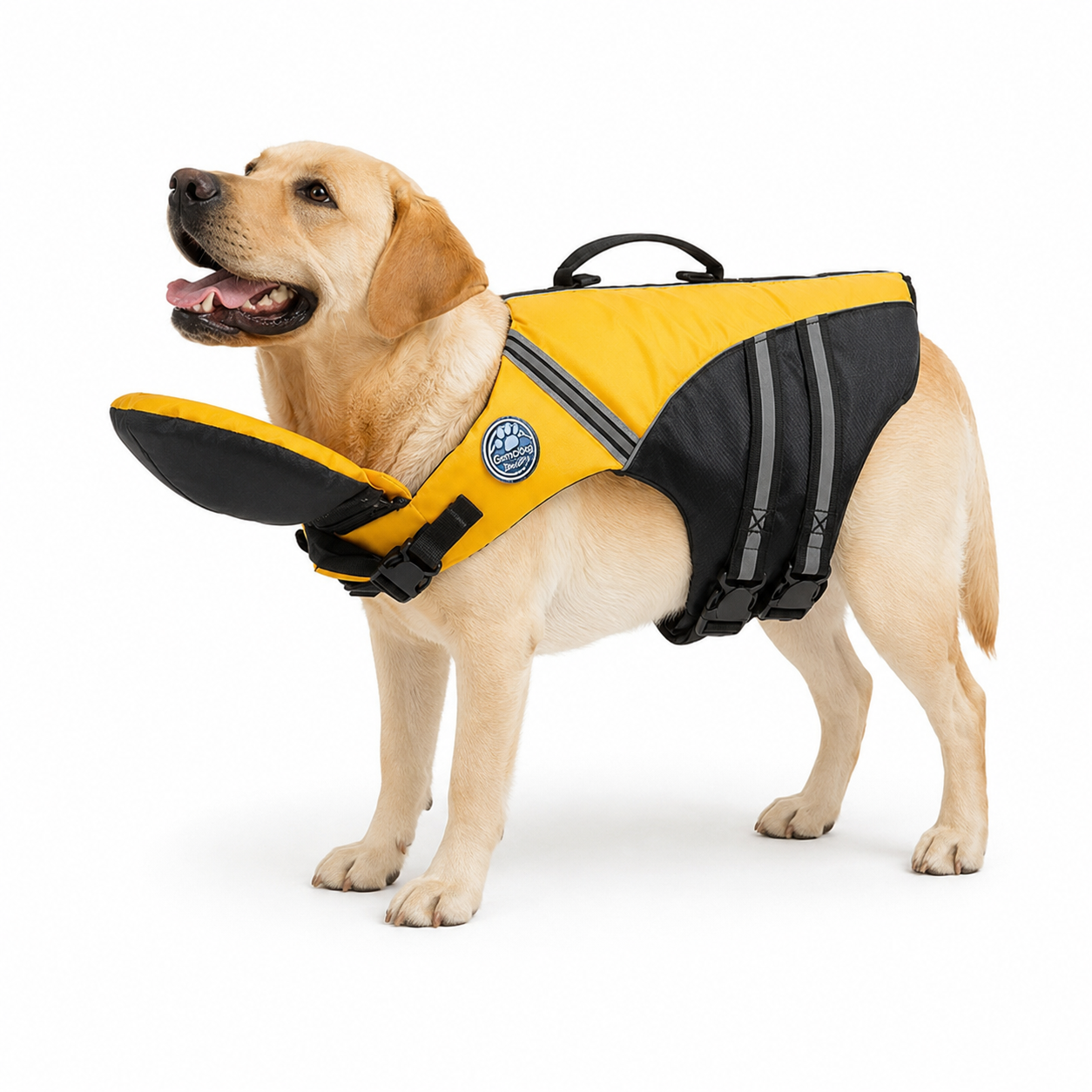 ThePawBuddy