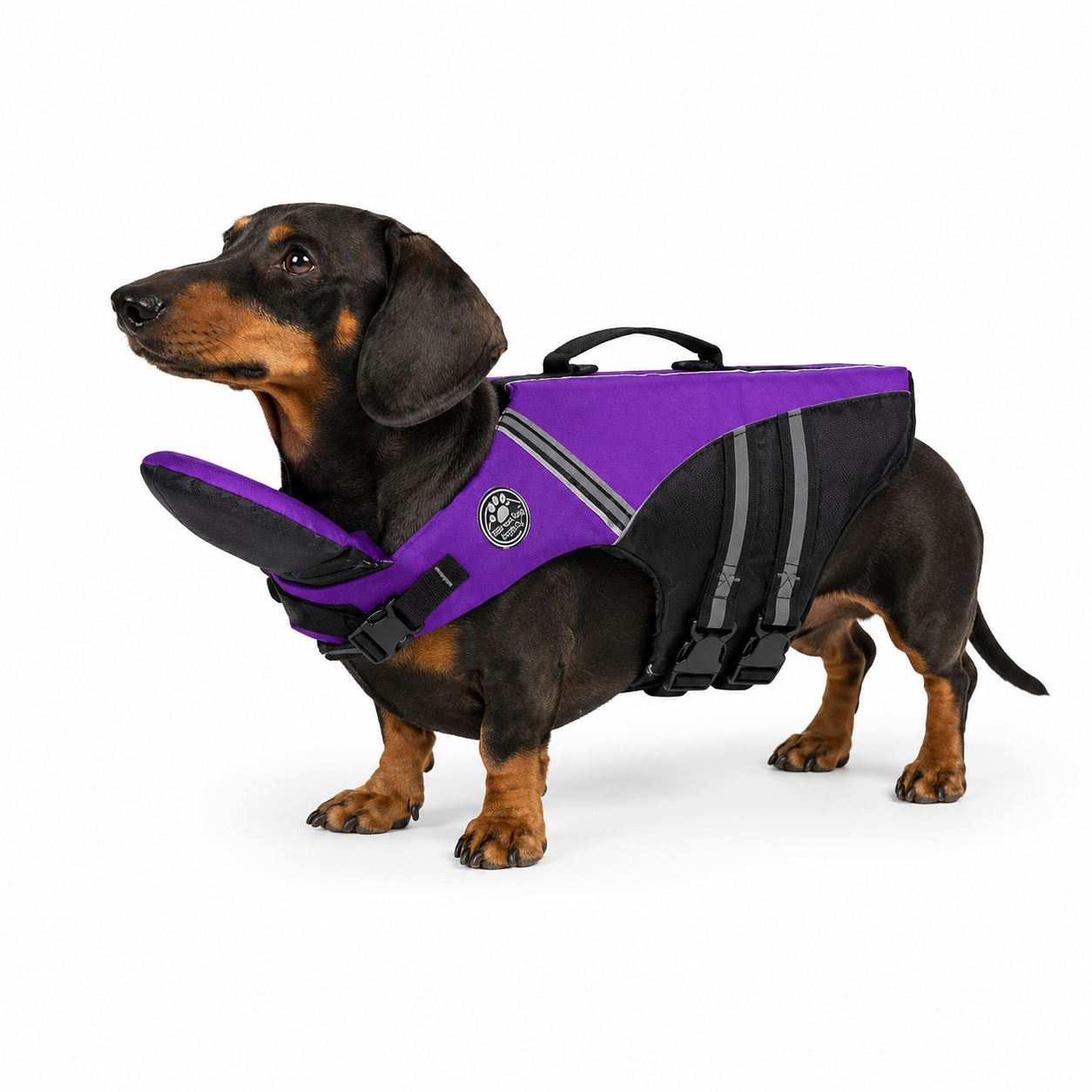 ThePawBuddy
