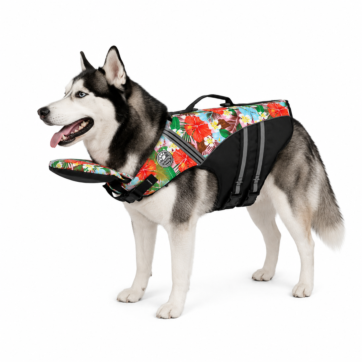 ThePawBuddy